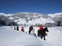 Hostia v ubytovaní Holiday home Steinfeld close to the ski lift
