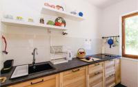 Kuchyňa alebo kuchynka v ubytovaní Holiday Home Slano 45