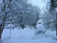 a snow covered park with trees and a street light at Waldpension zum Felsenkeller in Lichtenfels-Sachsenberg