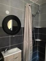 a bathroom with a shower curtain and a mirror at Appartements VIZILLE GRENOBLE - Route Napoleon in Vizille