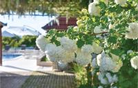 Vonkajšia záhrada v ubytovaní Holiday Home Bajagic 90 With Outdoor Swimmingpool
