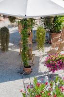 A garden outside Argentiere Room Apartments