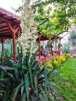 A garden outside KILIÇ MOTEL