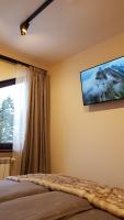 TV a/nebo společenská místnost v ubytování PinePino Borovets, aparthotel Borovets Gardens A60