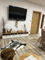 TV a/nebo společenská místnost v ubytování Apartmán Šakal