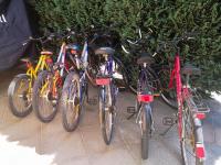 Jazda na bicykli v okolí ubytovania Holiday Home Hajnal by Interhome