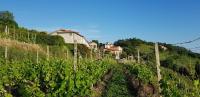 Plán poschodí v ubytovaní Casale In Vigna, CinqueTerreCoast