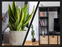 TV a/nebo společenská místnost v ubytování Matisse Hotflat