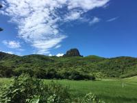 a green field with a mountain in the background at Xing Ji Hotel in Kenting