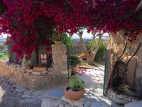 Zahrada ubytování Tinyhouse im Patio einer romantischen Finca