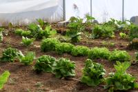 A garden outside Finca Heredad La Boquilla