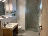 Koupelna v ubytování Apartmány Speicher