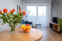 Televízia a/alebo spoločenská miestnosť v ubytovaní Apartamenty Przy IV Śluzie - LUX 50m2