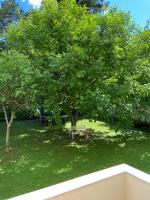 Vonkajšia záhrada v ubytovaní Delightful Villa Rina