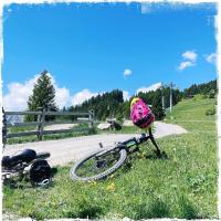 Jazda na bicykli v okolí ubytovania Hotel Garni Alpendiamant