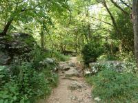 Un jard&iacute;n fuera de le rocher de Sampzon