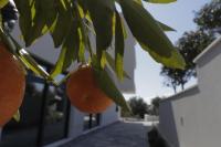 Plán poschodí v ubytovaní AHIL Sport&health premium penthouse Šibenik
