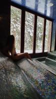 APLEND Wellness Hotel Borovica v zime