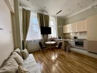 Kuchnia lub aneks kuchenny w obiekcie Tresor Barska Apartments