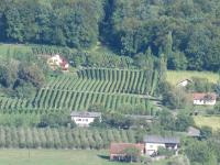 an aerial view of a vineyard with houses and trees at Appartement Weingut Schoberhof in Bad Gleichenberg
