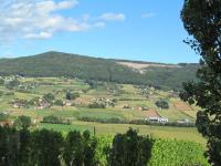 a view of a valley with green fields and trees at Appartement Weingut Schoberhof in Bad Gleichenberg