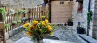 Zahrada ubytování Apartamentos Rurales La Tablá