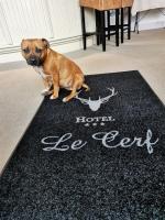 a brown dog sitting on a black rug on a floor at Logis Hotel Le Cerf in Briare