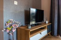 TV a/nebo společenská místnost v ubytování Apartment Drazice