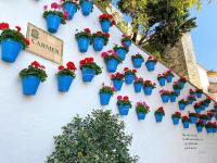 A garden outside Idyllic Townhouse in Marbella Old Town
