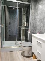 a bathroom with a shower and a toilet and a sink at Maison-Gite métropole Nancy in Vandoeuvre-lès-Nancy