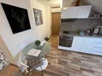 Kuchyň nebo kuchyňský kout v ubytování Apartmány Skryjova