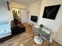 TV a/nebo společenská místnost v ubytování Apartmány Skryjova