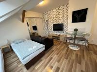TV a/nebo společenská místnost v ubytování Apartmány Skryjova