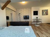 TV a/nebo společenská místnost v ubytování Apartmány Skryjova