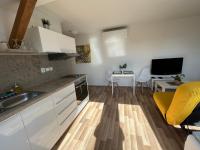 TV a/nebo společenská místnost v ubytování Apartmány Skryjova