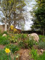 a garden with flowers and a tree and rocks at Les Clés du Parc in Combrand