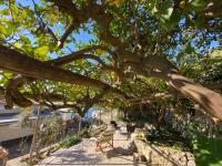 A garden outside Giardino Eden Villa