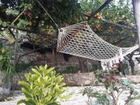 A garden outside Giardino Eden Villa