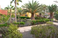 Ogród w obiekcie Casa Isabel, the perfect home for your holidays in Corralejo