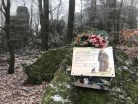 Príroda v okolí hotela