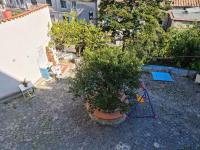 Ogród w obiekcie La casa nel duomo Vietri sul Mare