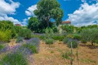 Plán poschodí v ubytovaní Holiday Homes in Crikvenica 39330