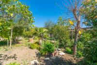 Ogród w obiekcie Construcciones Balaguer