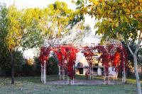 A garden outside Appartamento con Piscina e Giardino a Siena