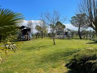 A garden outside Appartamento con Piscina e Giardino a Siena