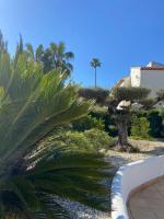 Zahrada ubytování Jávea Villa entière piscine et cuisine d'été à pinosol