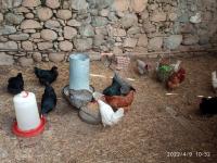 Casa Rural Cal Xico, Adrall – Updated 2022 Prices