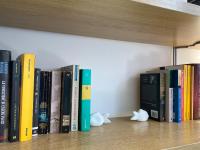 The library in Az apartmant