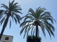 Půdorys ubytování Apartamento Urb Oasis Park II Denia, las Marinas