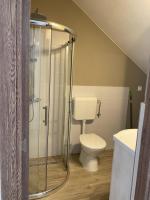 a bathroom with a toilet and a glass shower at FENYŐ APARTMAN HOUSE II. in Odorheiu Secuiesc